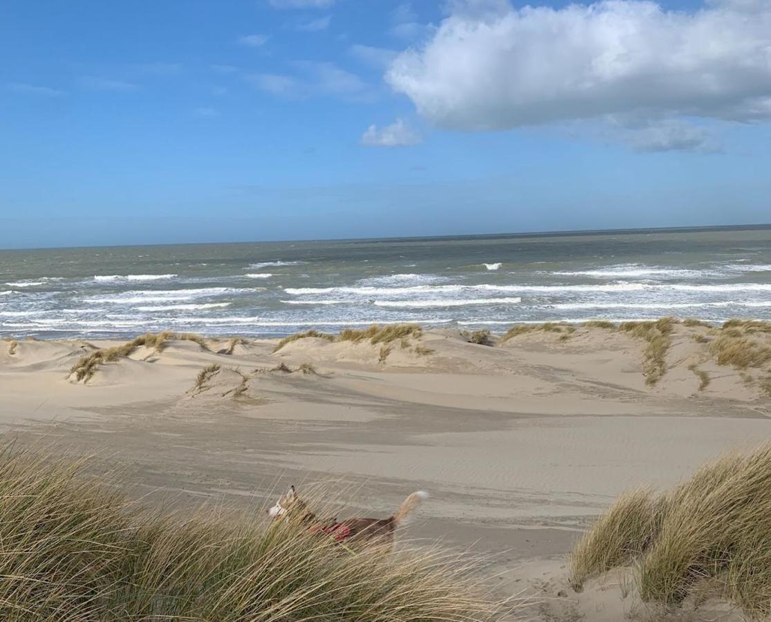 Moderne Studio Aan Het Strand In Oostduinkerke-Bad Koksijde Exterior foto